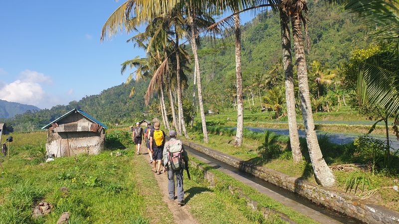 les-rizieres-de-sidemen_4