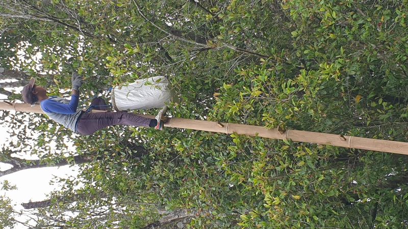 25-juillet-les-rizieres-de-pujungan-a-munduk_17