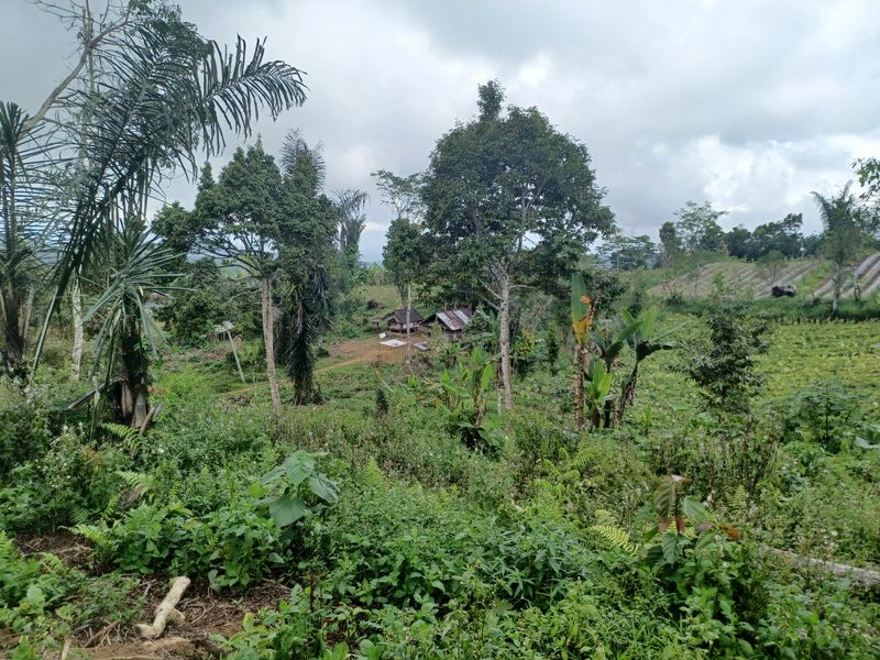 la-campagne-de-antapan_3