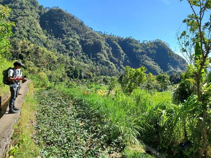 1-er-aout-des-rizieres-de-babi-aux-bains-royaux-de-tirtagangga_4