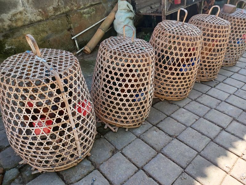 27-juillet-de-aoman-a-sebatu_3