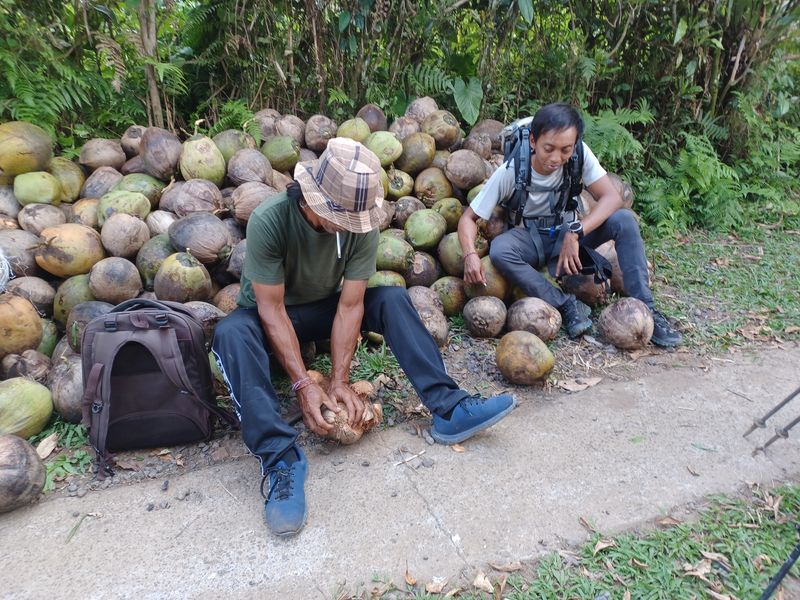 les-rizieres-de-belimbing_3