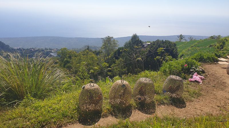 30-juillet-du-lac-batur-a-amed_3