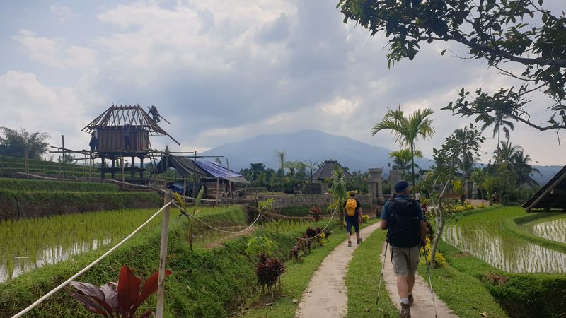 les-rizieres-de-belimbing_7