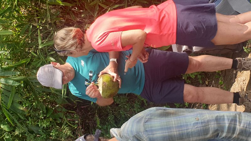 les-rizieres-de-belimbing