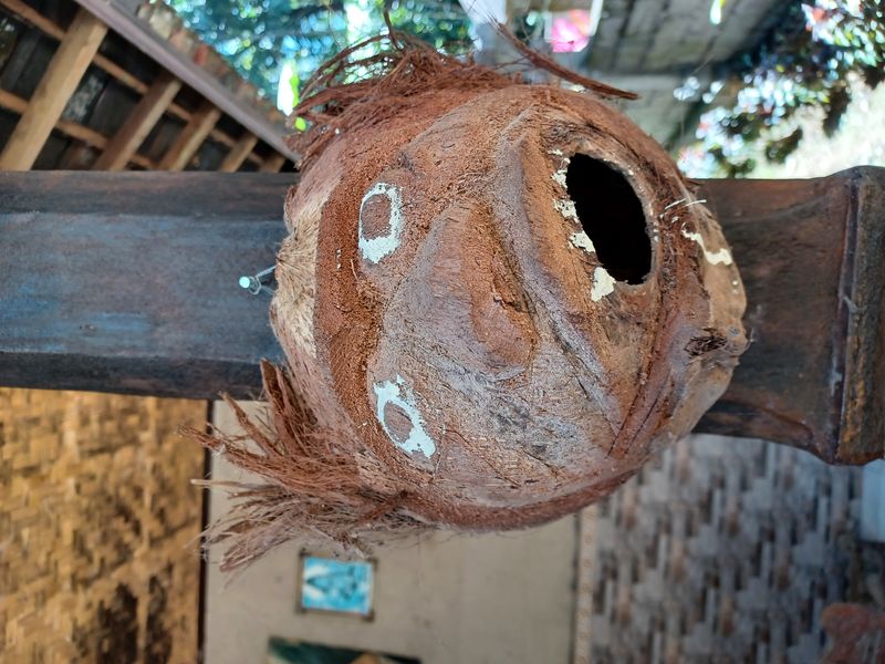 1-er-aout-des-rizieres-de-babi-aux-bains-royaux-de-tirtagangga