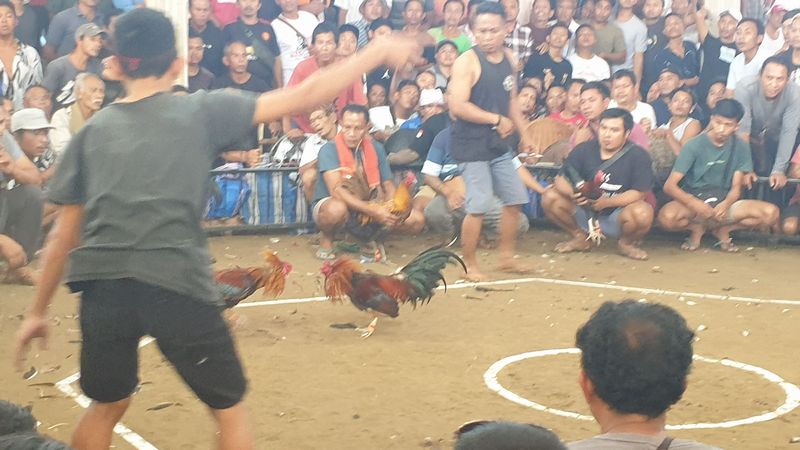 1-er-aout-des-rizieres-de-babi-aux-bains-royaux-de-tirtagangga_10