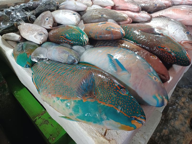 4-aout-jimbaran-avant-le-retour_11