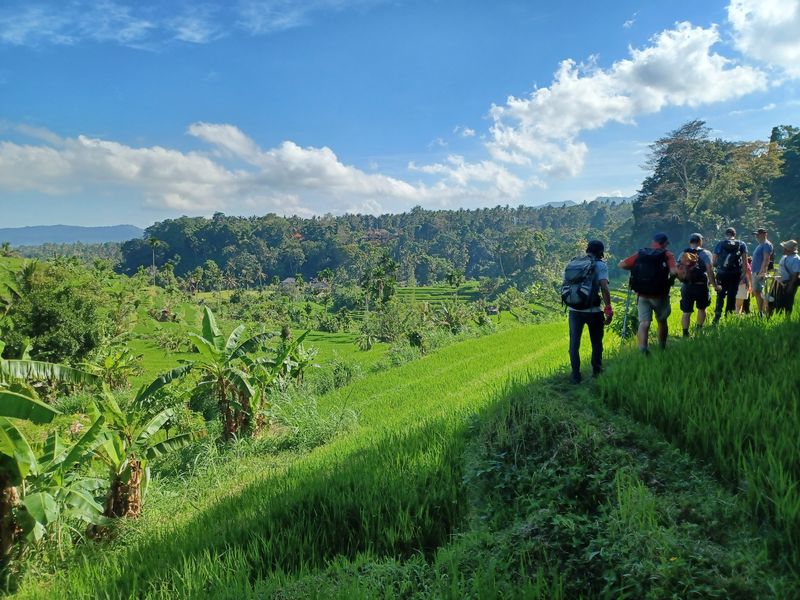 1-er-aout-des-rizieres-de-babi-aux-bains-royaux-de-tirtagangga_7