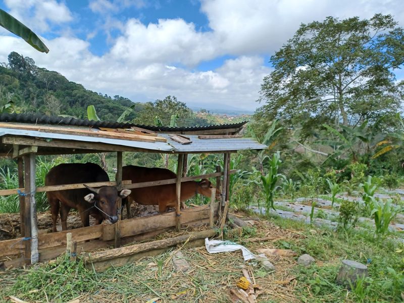 27-juillet-de-aoman-a-sebatu