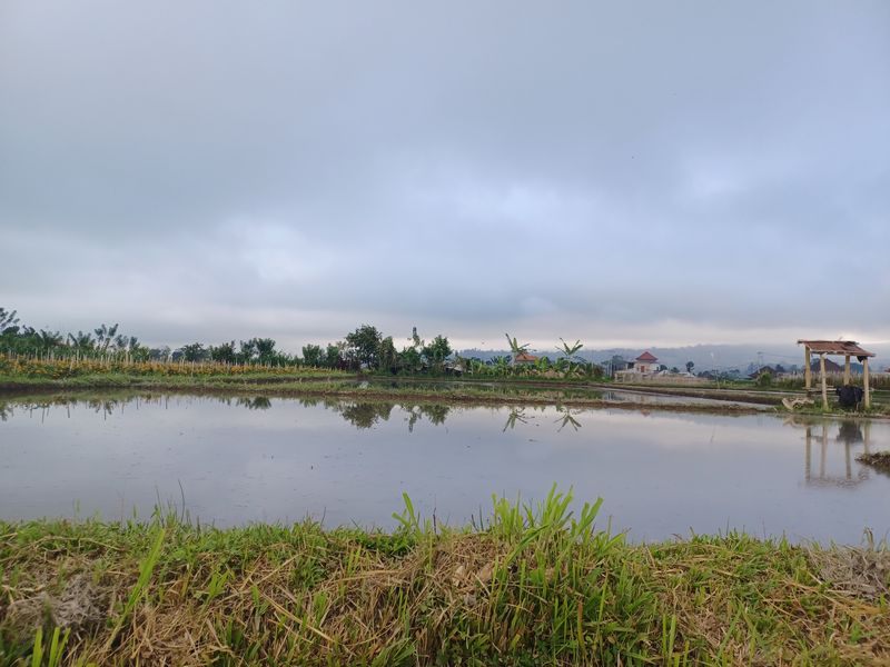 la-fin-du-parcours_3