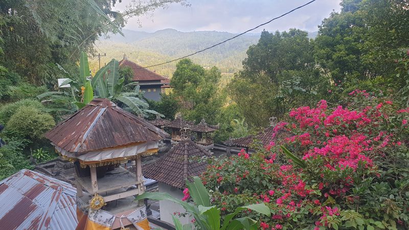 25-juillet-les-rizieres-de-pujungan-a-munduk_25