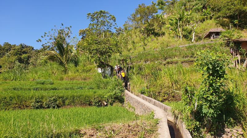 1-er-aout-des-rizieres-de-babi-aux-bains-royaux-de-tirtagangga_3