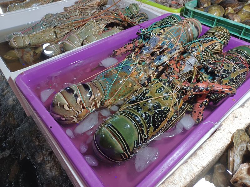 4-aout-jimbaran-avant-le-retour_9