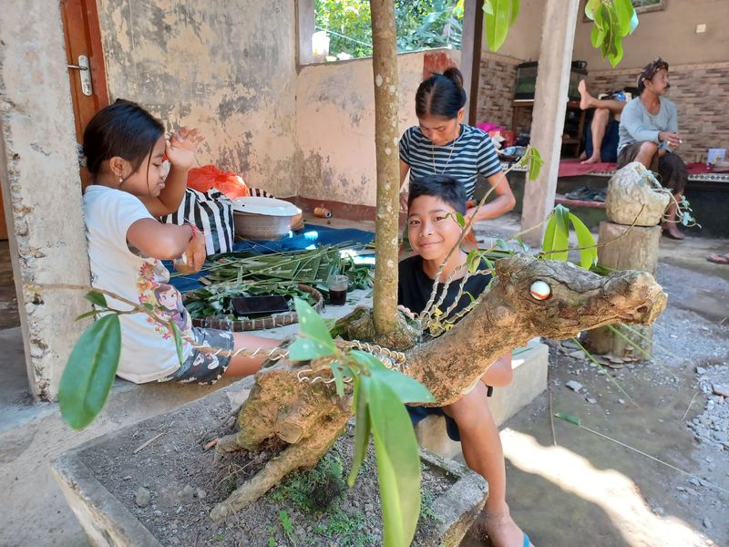 1-er-aout-des-rizieres-de-babi-aux-bains-royaux-de-tirtagangga_18