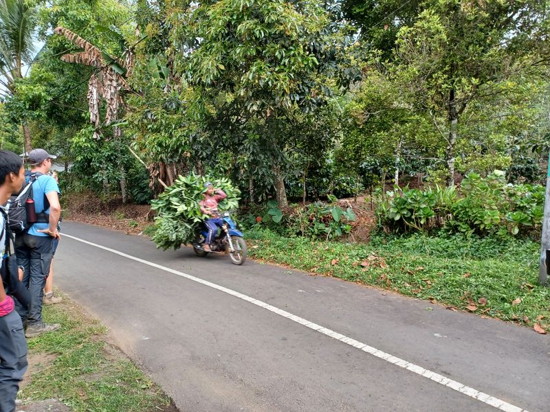 25-juillet-les-rizieres-de-pujungan-a-munduk_6