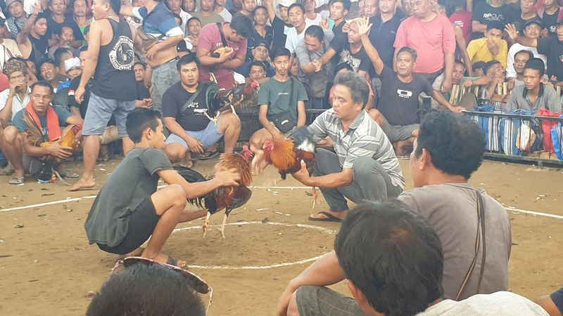 1-er-aout-des-rizieres-de-babi-aux-bains-royaux-de-tirtagangga_8