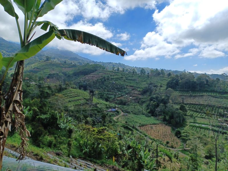 27-juillet-de-aoman-a-sebatu_9