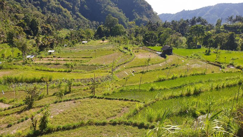 1-er-aout-des-rizieres-de-babi-aux-bains-royaux-de-tirtagangga_6