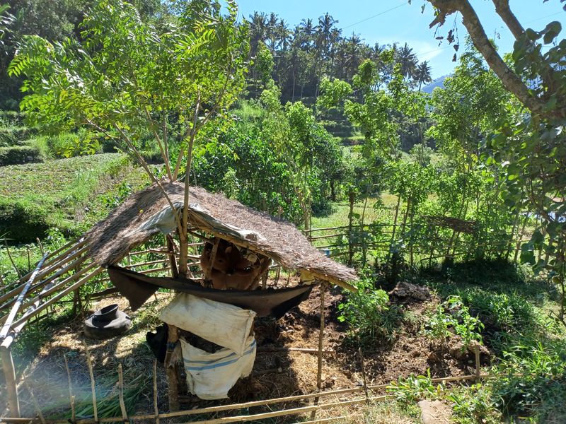 1-er-aout-des-rizieres-de-babi-aux-bains-royaux-de-tirtagangga_7