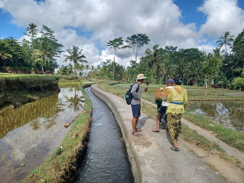 les-rizieres-de-sebatu
