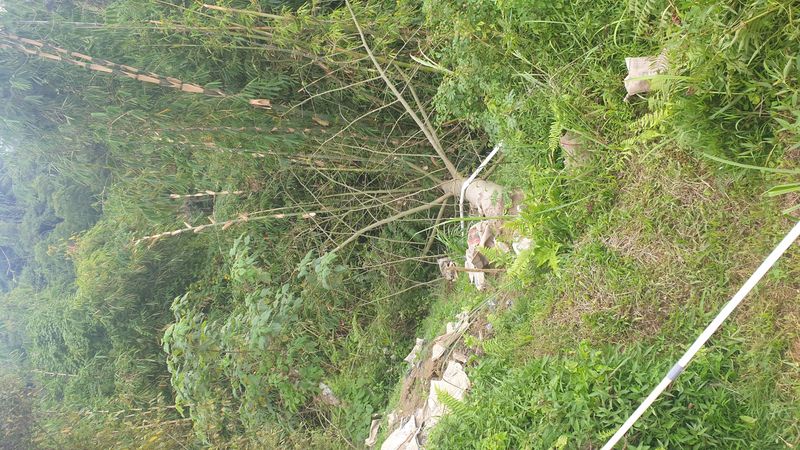 leboulement-de-terrain_3