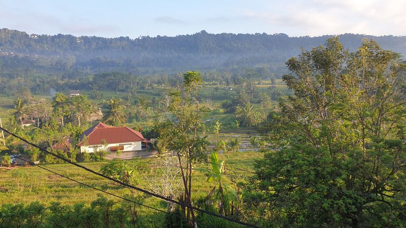 2-aout-le-temple-besakih-et-dejeuner-chez-aris_2