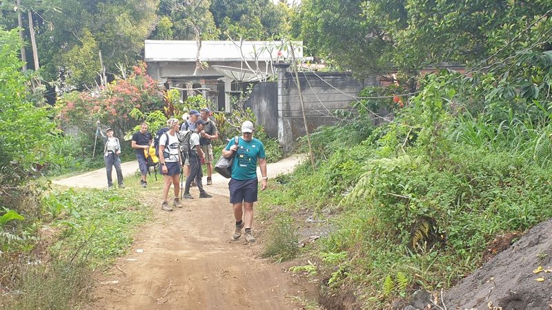 25-juillet-les-rizieres-de-pujungan-a-munduk_9