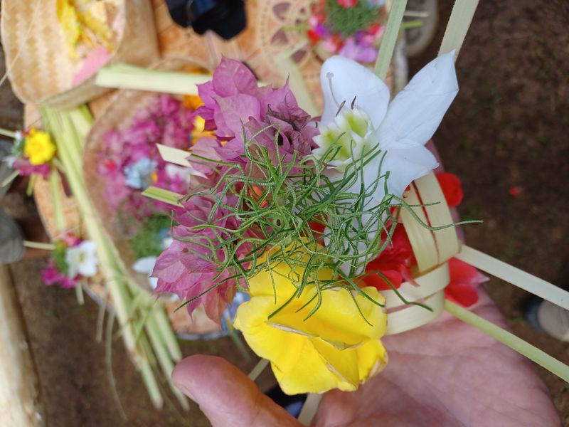 24-juillet-les-rizieres-de-belimbing-et-le-temple-de-mekori_6