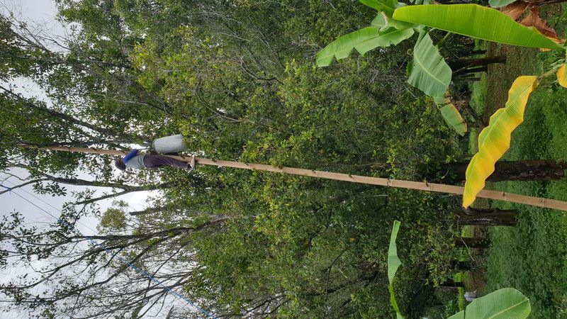 25-juillet-les-rizieres-de-pujungan-a-munduk_16