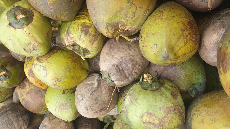 les-rizieres-de-belimbing_4