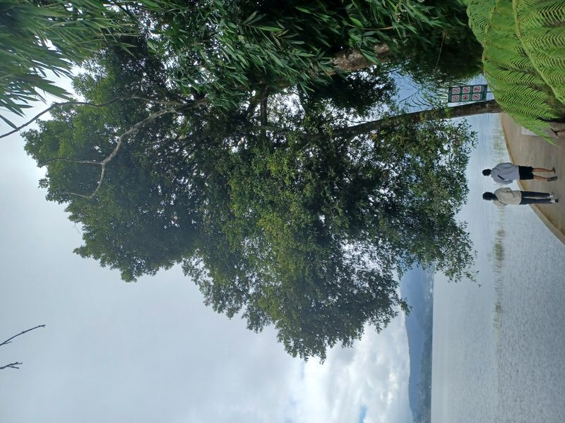 la-foret-tropicale_2