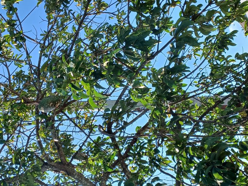 les-rizieres-de-sidemen