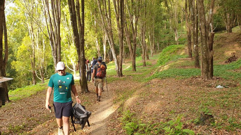 25-juillet-les-rizieres-de-pujungan-a-munduk_19