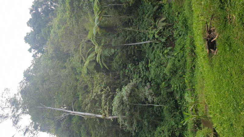 la-fin-du-parcours_4