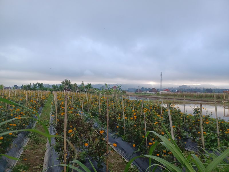 la-fin-du-parcours_4