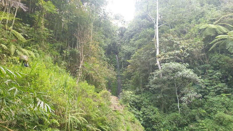 la-fin-du-parcours_3