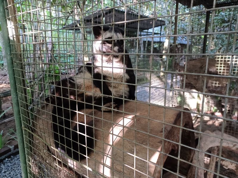 la-fabrique-de-cafe_4